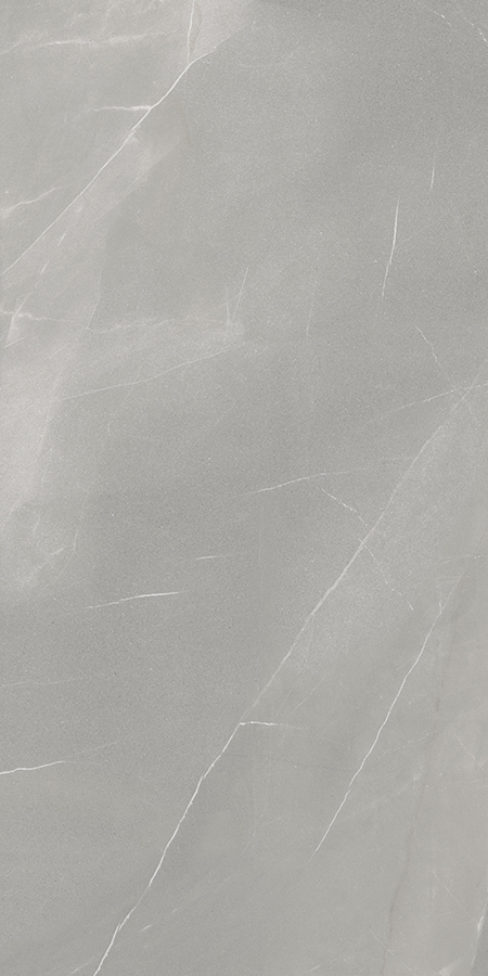 Gạch 100200PLC102004GBHW