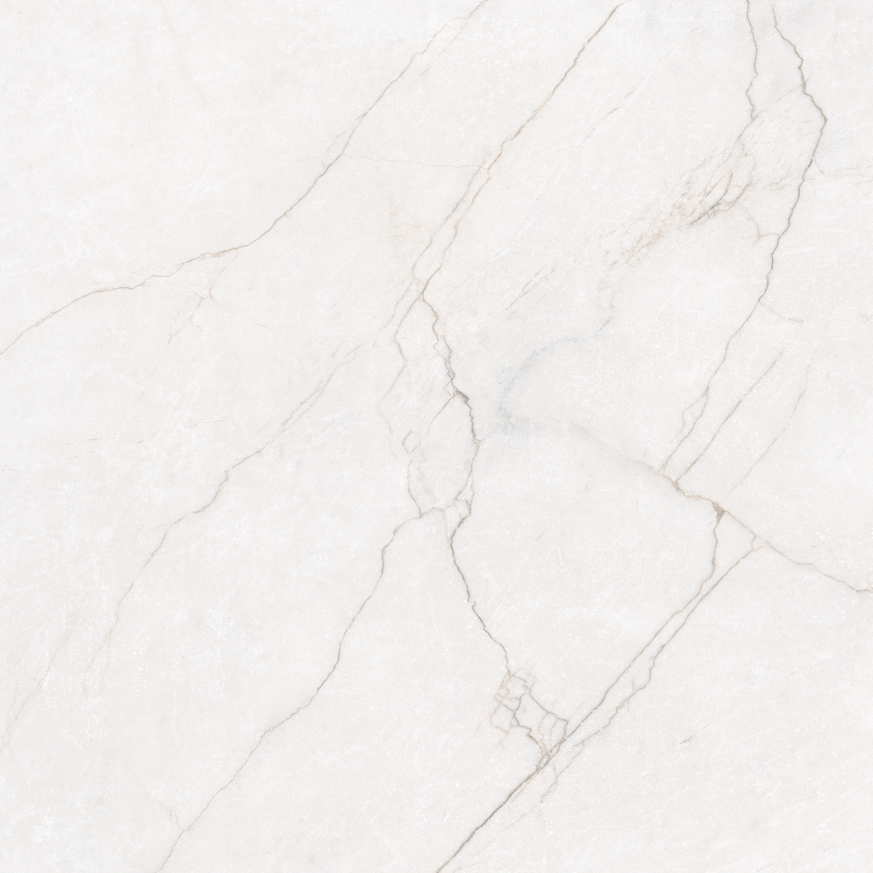 CLASS BIANCO