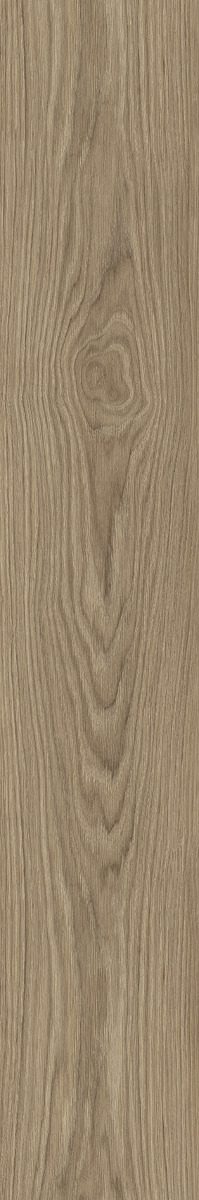 OUDH CEDRO
