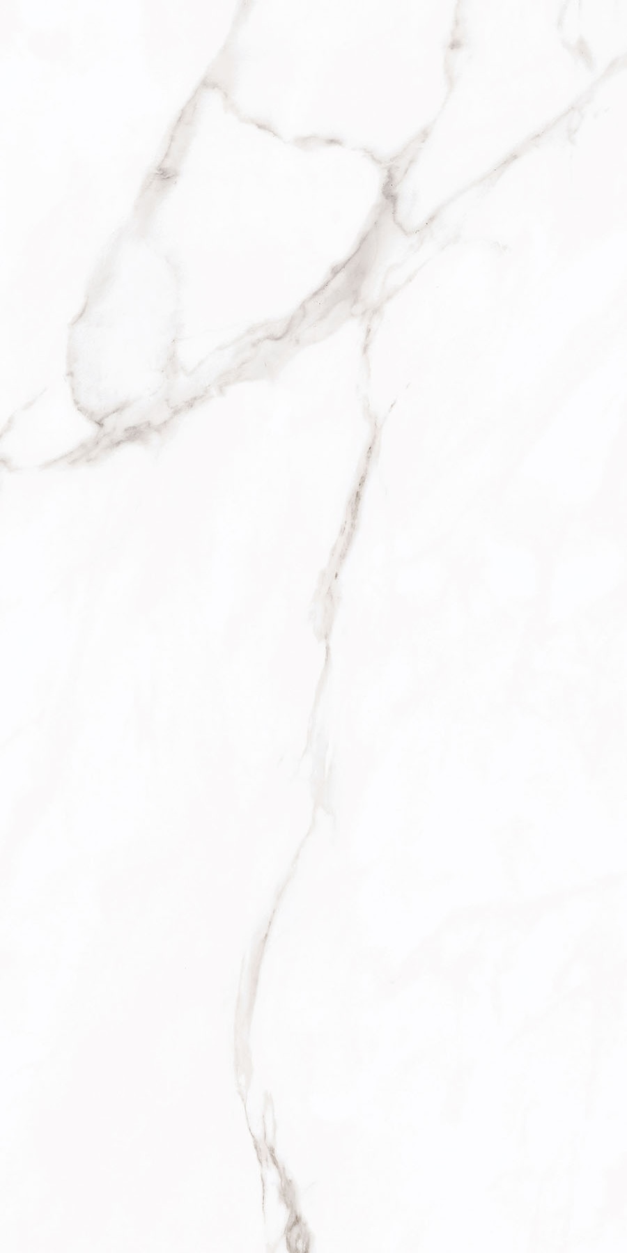 WHITE SPACE