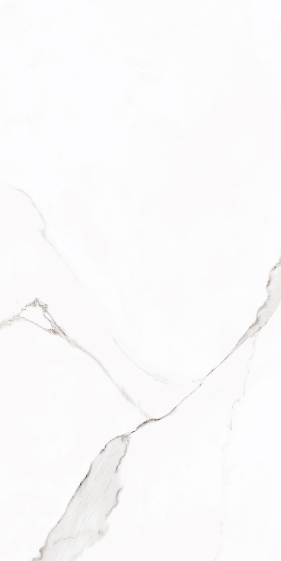 WHITE SPACE