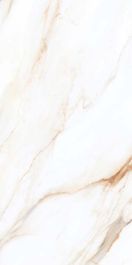 Tile 3060PM36602S