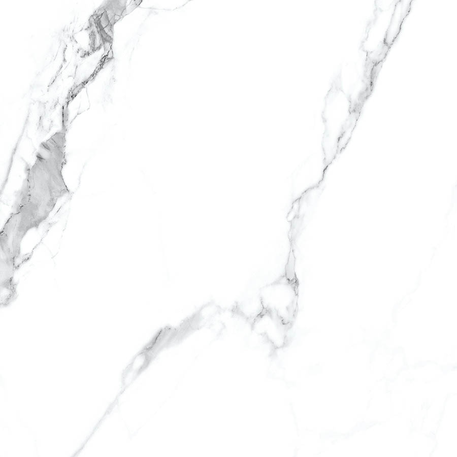WHITE SPACE