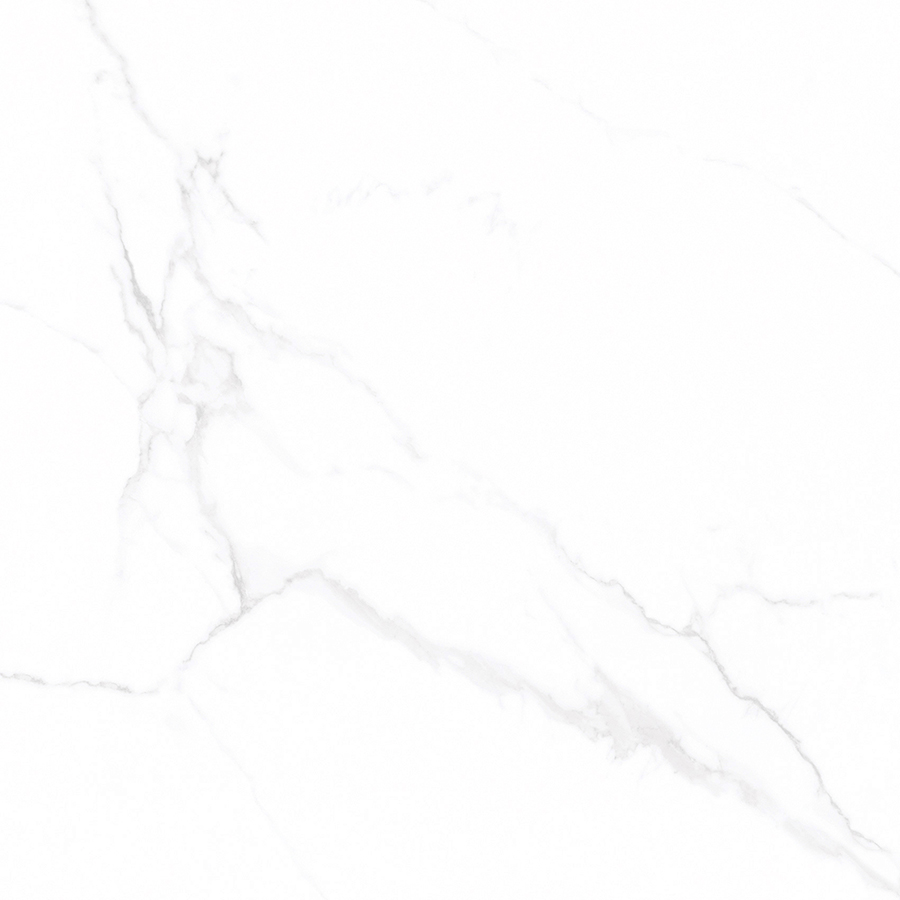 WHITE SPACE