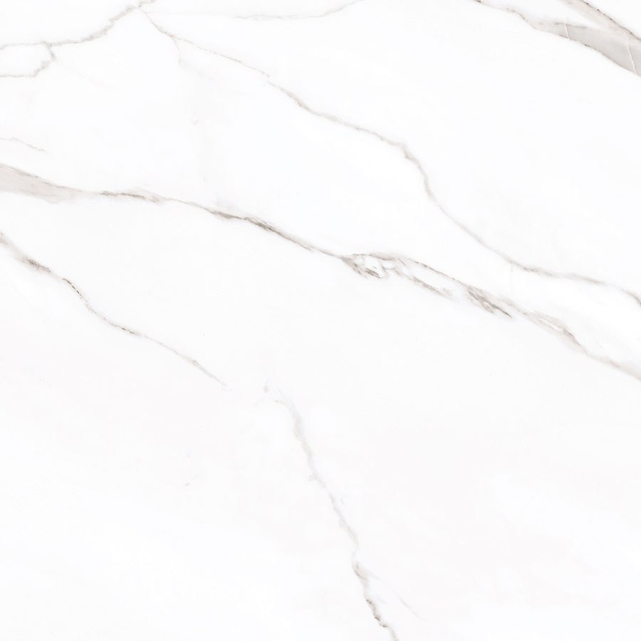 WHITE SPACE