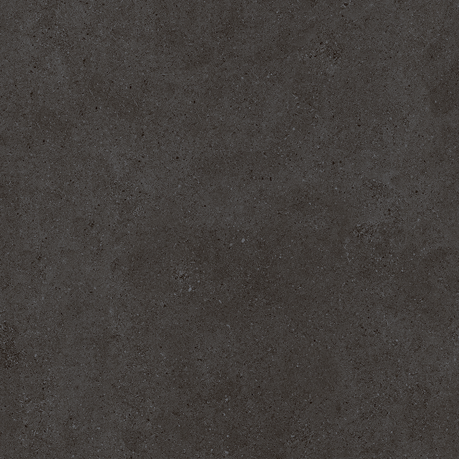 BARONIA CHARCOAL