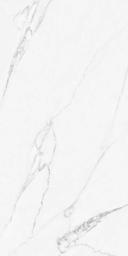 WHITE SPACE