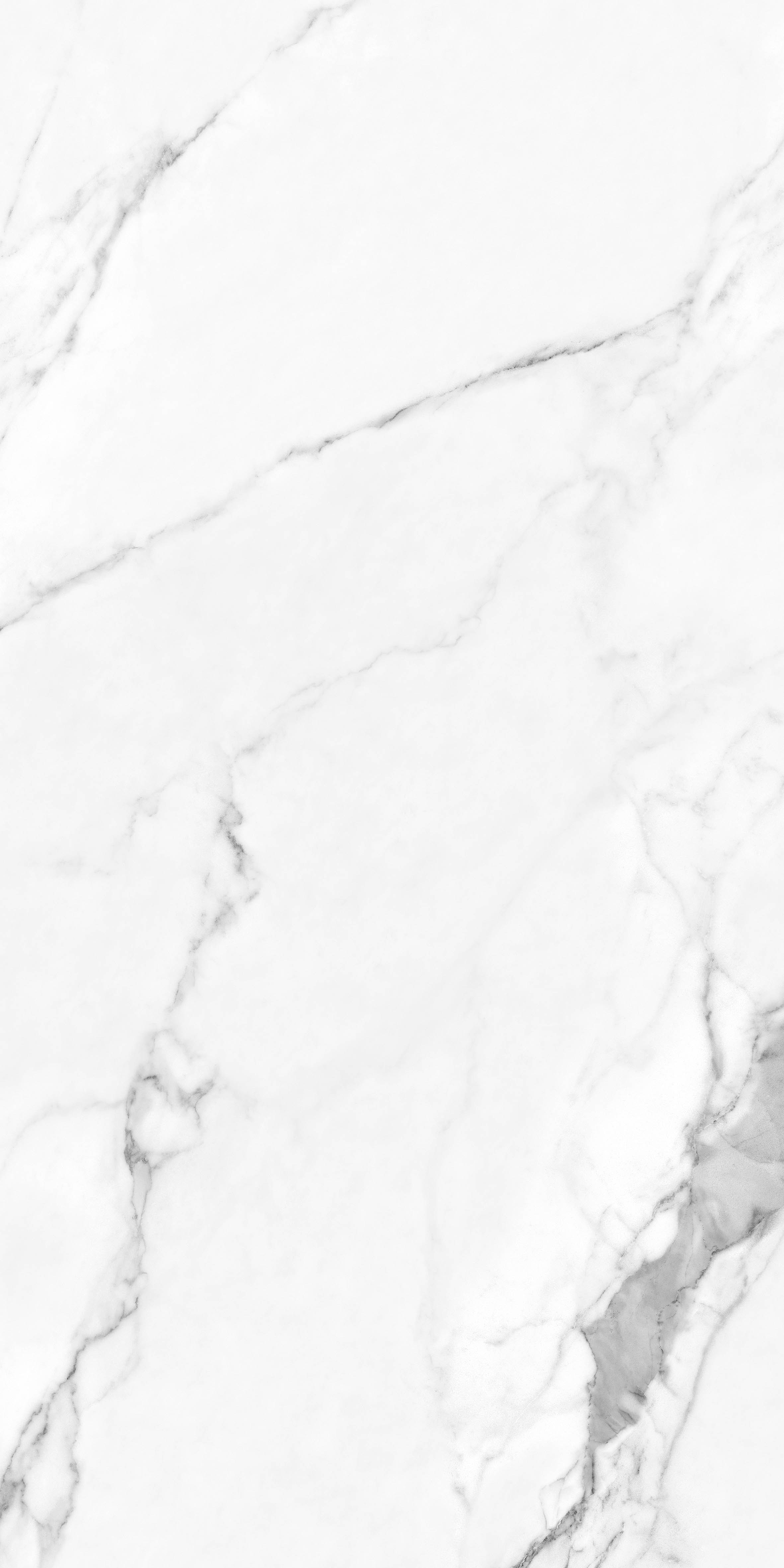 WHITE SPACE