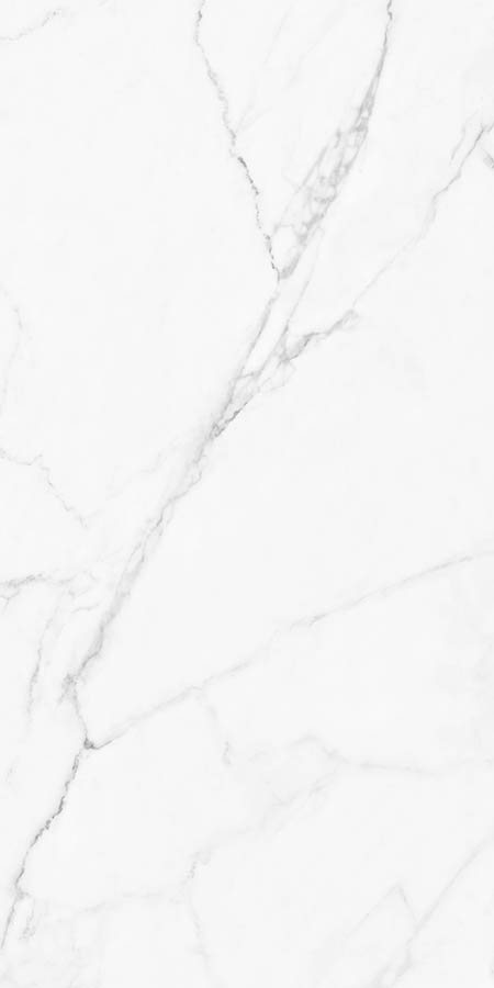 WHITE SPACE