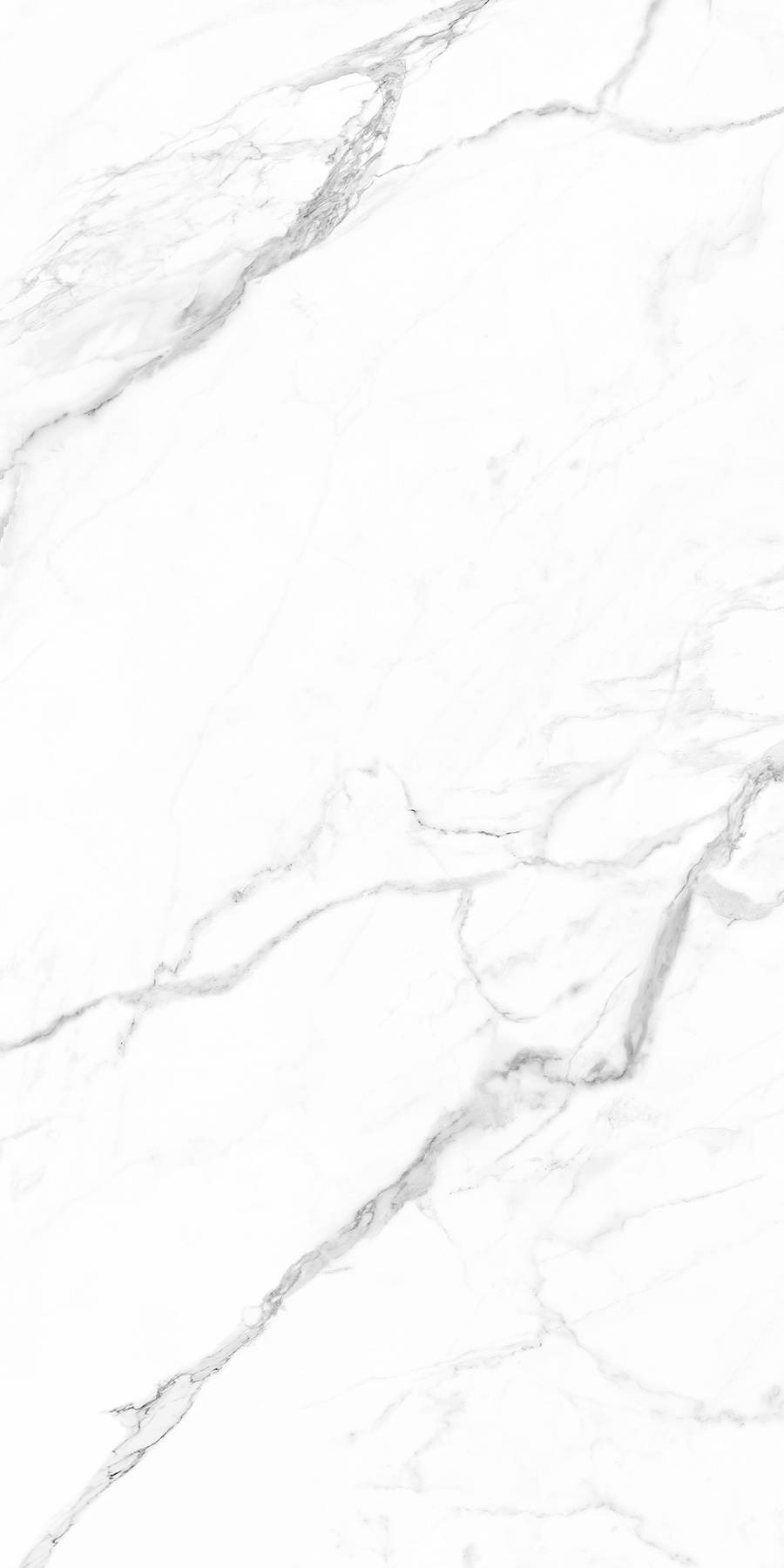 WHITE SPACE