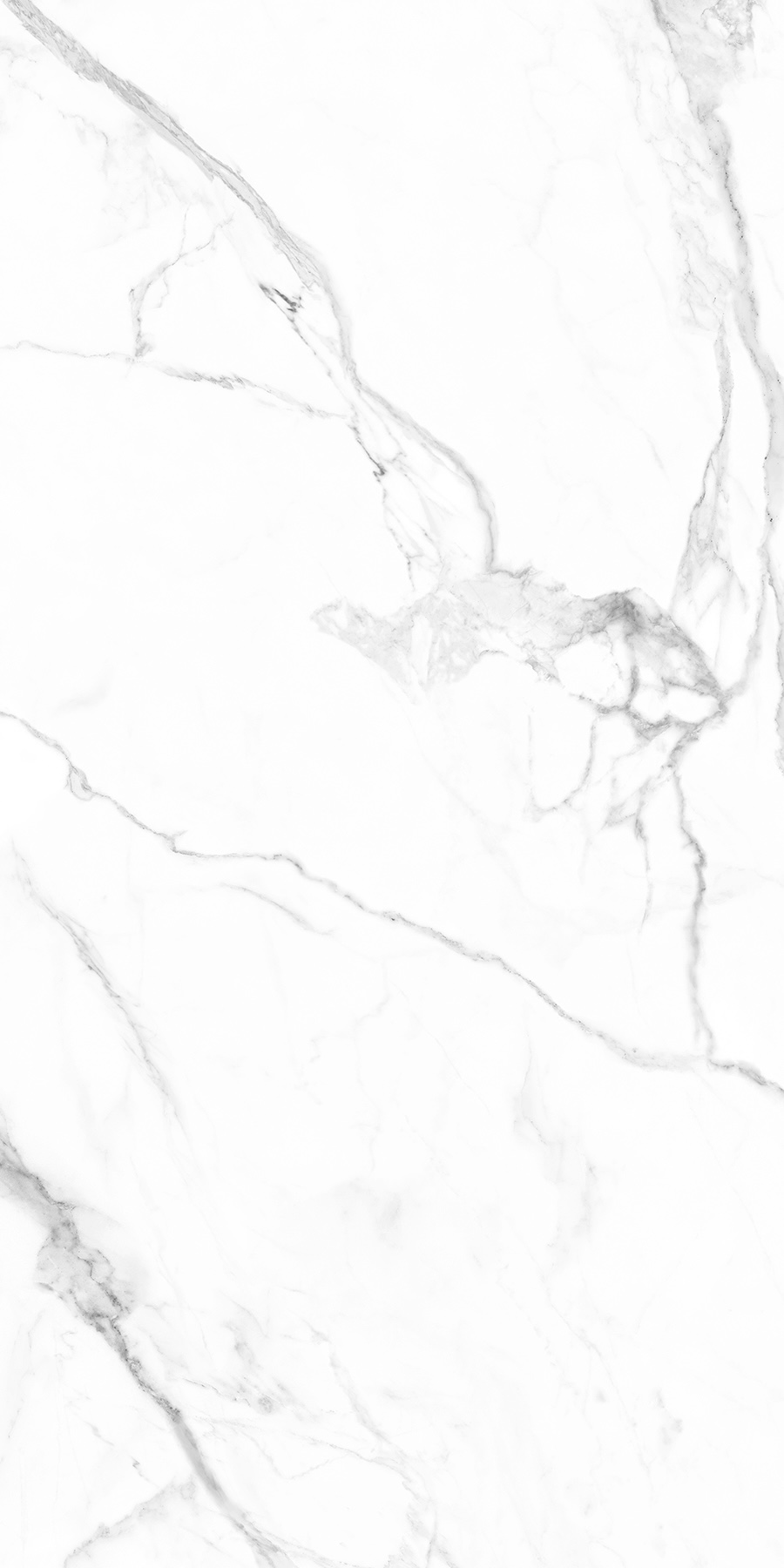 WHITE SPACE