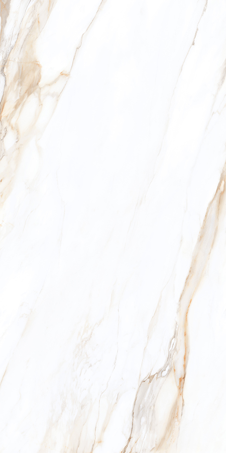 WHITE SPACE