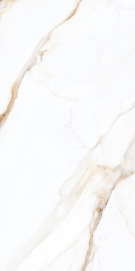 WHITE SPACE